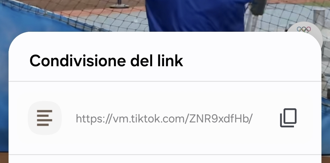 Copiare link tiktok